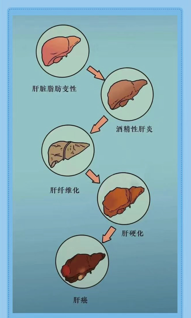1_画板 1 副本 3.jpg